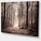 Designart - Forest Trail in Sepia - Landscape Photography Canvas Art Print